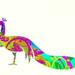 Peacock Fabric Sticker in Vibrant colors Wall Decals
